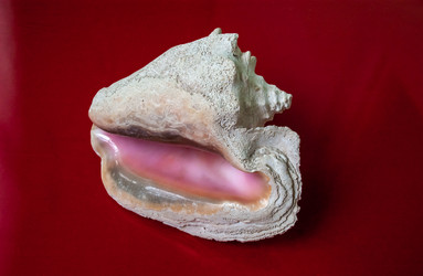 Similar image 21695887