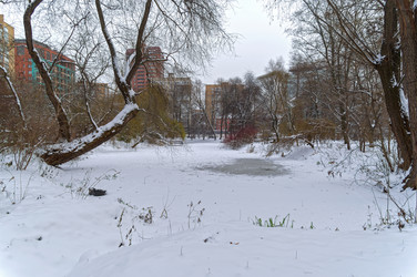 Similar image 21691284