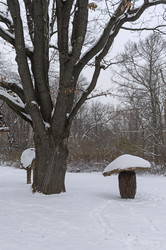 Similar image 21691288