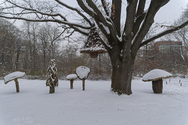 Similar image 21691289