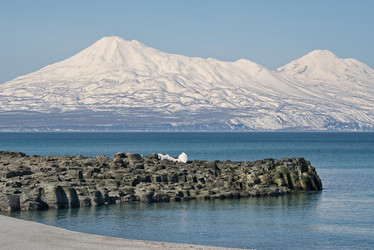 Similar image 21694384