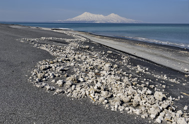 Similar image 21694386