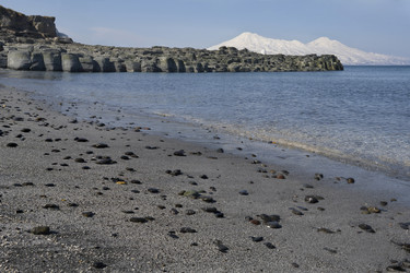 Similar image 21694395