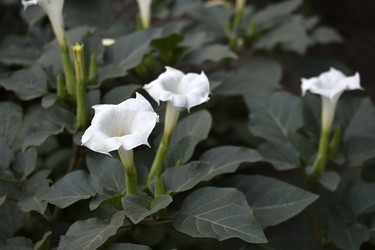 Similar image 21692211