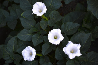 Similar image 21692212