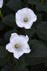 Similar image 21692213