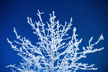 Similar image 21692220