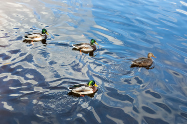 Similar image 21692222