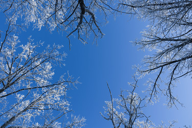 Similar image 21692223