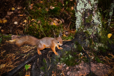 Similar image 21692224