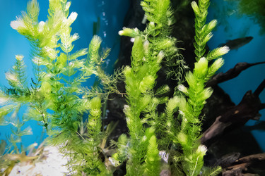 Similar image 21692225