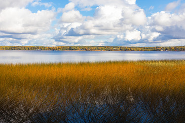 Similar image 21692226