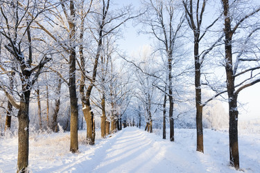 Similar image 21692228