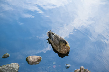 Similar image 21692230