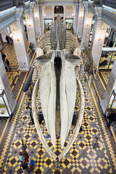 Similar image 21692240