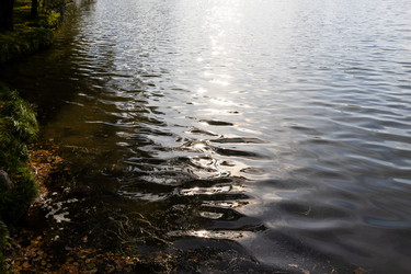 Similar image 21692241