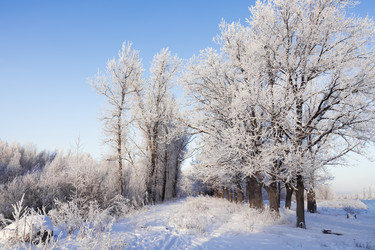 Similar image 21693459