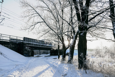 Similar image 21693460