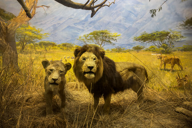 Similar image 21693461