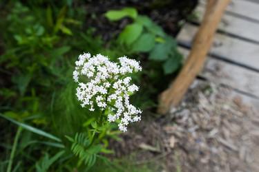 Similar image 21693464