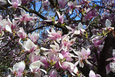 Similar image 21692250