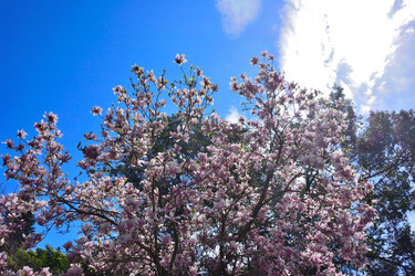 Similar image 21692251