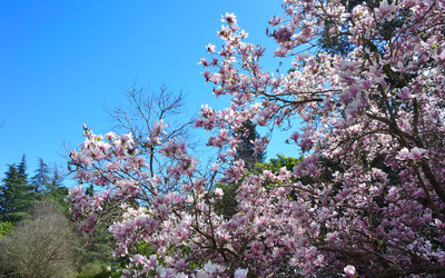 Similar image 21692252