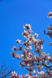 Similar image 21692253