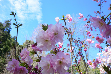 Similar image 21692254