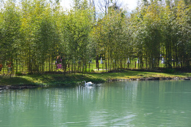 Similar image 21692259