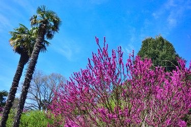 Similar image 21692455