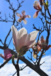 Similar image 21692456