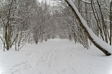 Similar image 21692260