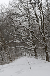 Similar image 21692262