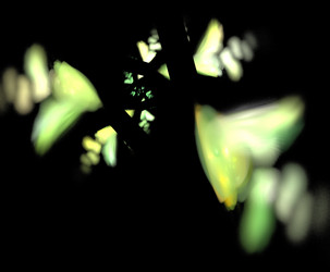 Similar image 21693086