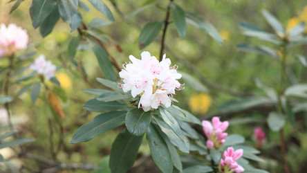 Similar image 21693100