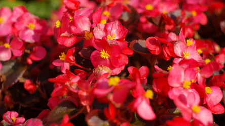 Similar image 21693110