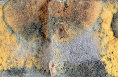 Similar image 21693953