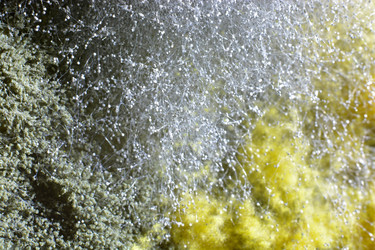 Similar image 21693955