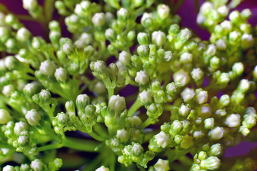 Similar image 21695743