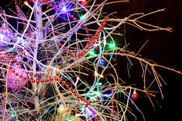 Similar image 21695746