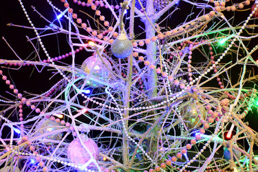 Similar image 21695748