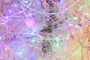 Similar image 21693967