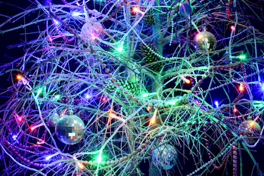 Similar image 21693968