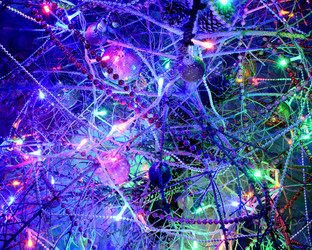 Similar image 21695749