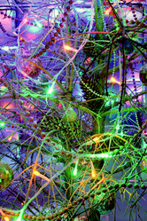 Similar image 21693969