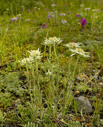 Similar image 21696240