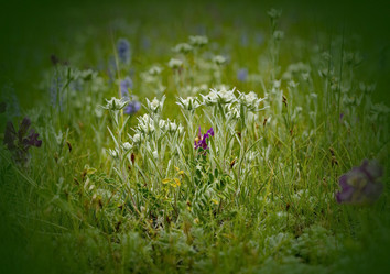 Similar image 21696241