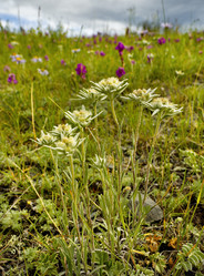 Similar image 21696600