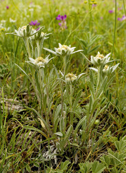 Similar image 21696601